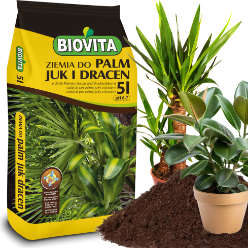 BIO9 zemina pro palmy, juky a dracény, 5 l – substrát pro zelené rostliny s hnojivem Biovita