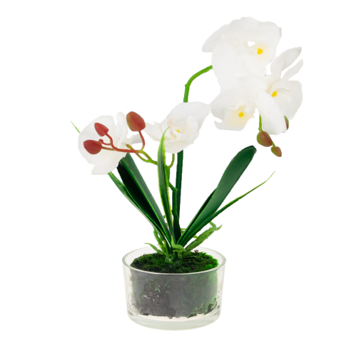 CV05030-1 orchidej v květináči, bílá, pogumovaná, dvouramenná, velká