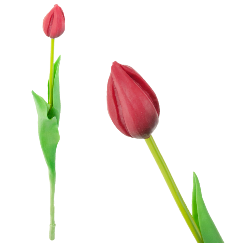 CV07588-10 jednoduchý tulipán, pogumovaný, červený, jako živý