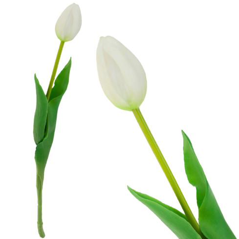 CV07588-1 jednoduchý tulipán, pogumovaný, bílý, jako živá květina