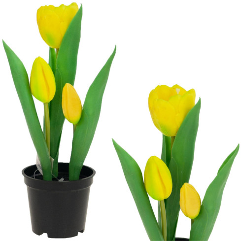 CV10553-3 tulipán tulipány pogumované květiny jako živé, prémiové
