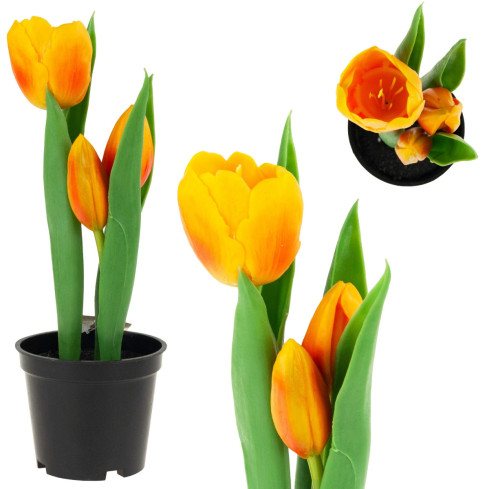 CV10553-4 tulipán, gumové tulipány, květiny jako živé, prémiové, v květináči, oranžové