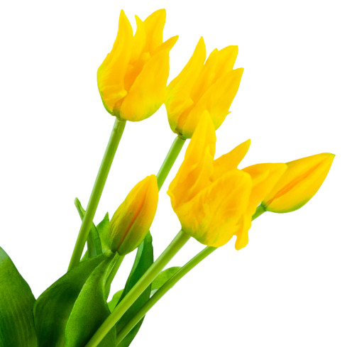 CV17691-3 tulipány, tulipánová kytice, papouščí tulipány, pogumované, 5 ks, jako živé