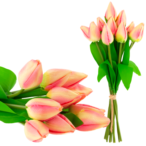 CV27025-2 kytice tulipánů, 12 rozkvetlých růžových květů