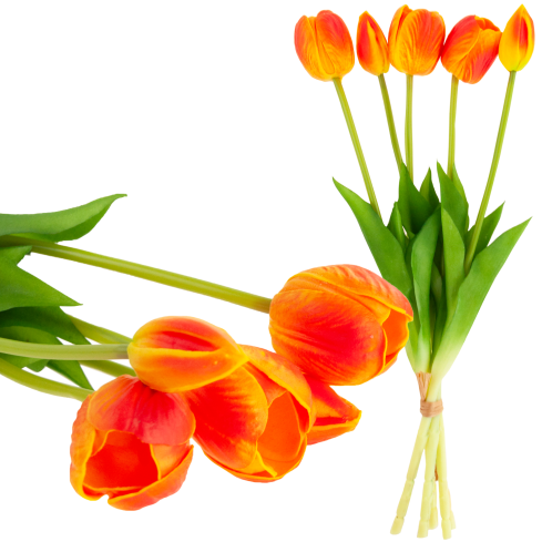 CV31218-5 kytice tulipánů z pěnové gumy, 5 ks, realistická, perforovaná, oranžová