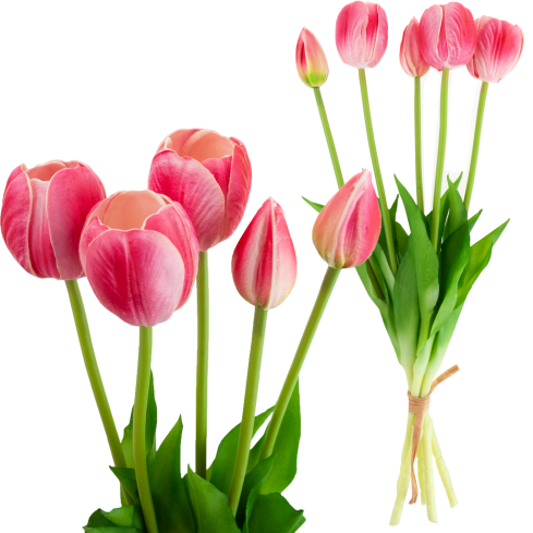 CV31218-7 kytice tulipánů z pěnové gumy, 5 ks, realistická, perforovaná, růžová