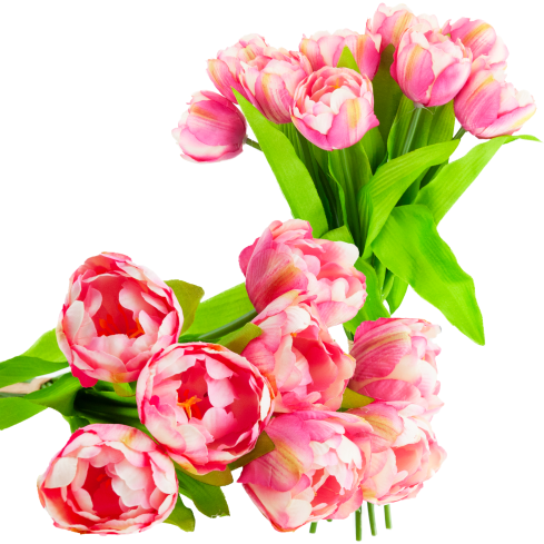 CV31227-4 kytice tulipánů X7, tmavě růžové, s pogumovanými stonky, hustá jarní kytice