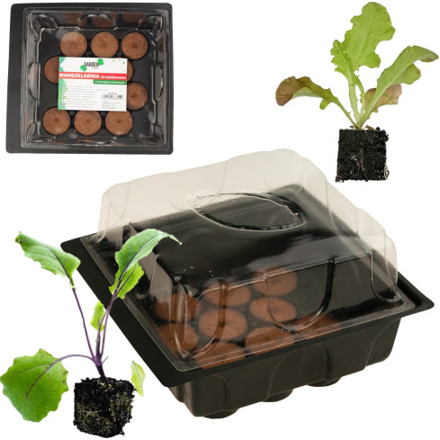 EDA8549 mini skleník, pařeniště pro klíčení, klíčící box, sazenice, 12 komor + podložky