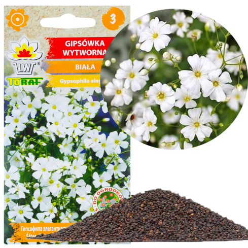 R4584 GYPSOPHILA BÍLÁ 1G SEMENA GYPSOPHILA KVĚTINY PRO ZÁHONY SKALKY