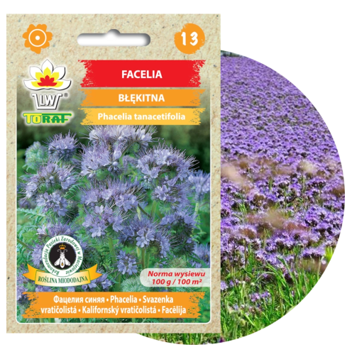 Facelia modrá, medonosná, jako mezikulturní plodina, semena, Toraf, 50 g
