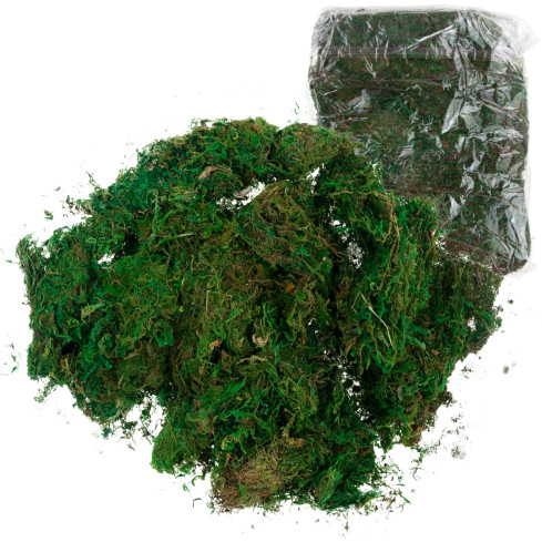 TG70316 umělý mech, 1 kg, sypký, dekorativní, do aranžmá, zelený, odolný