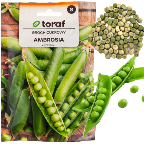 W1062 cukrový hrášek „Ambrosia“, raná odrůda, semena výnosného hrášku, 50 g