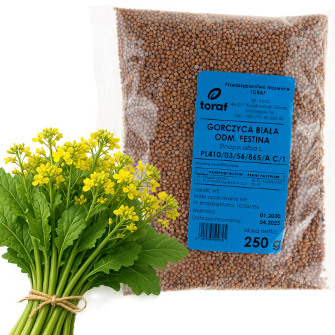 Z9725 bílá hořčice jako mezipěstování, Festina, 250 g