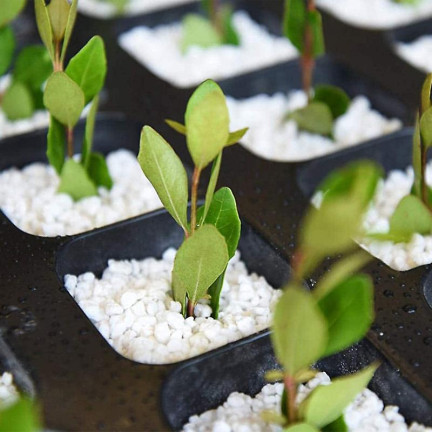 BIO2 biovita zahradní perlit 10 l – přírodní prokypřovač, přísada do substrátu