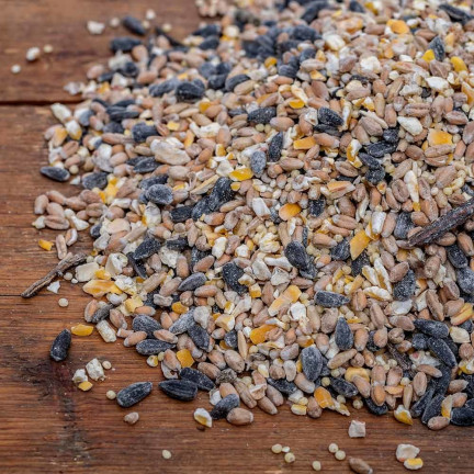 Směs pro volně žijící ptáky, celoroční krmivo, obilná semena, Turdus 1 kg