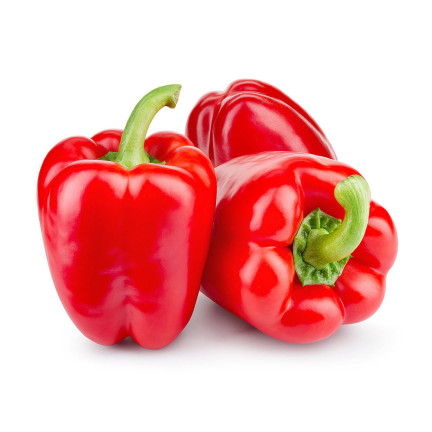W1135 CALIFORNIA WONDER ČERVENÁ SLADKÁ SALÁTOVÁ PAPRIKA 0,5G