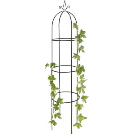 TG60185 ZAHRADNÍ KVĚTINY PERGOLA růže 190 cm OBELISK