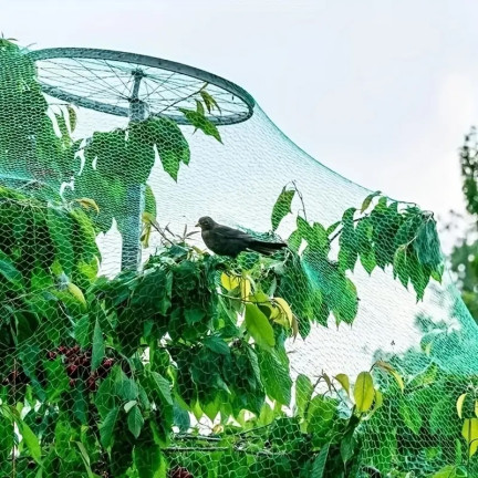TG72852 sítě proti ptákům sítě proti ptákům sítě proti škůdcům 2x5M