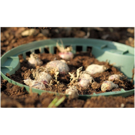 IKCS265-G851 košík, miska, obal na výsadbu cibulek květin 26,5 cm