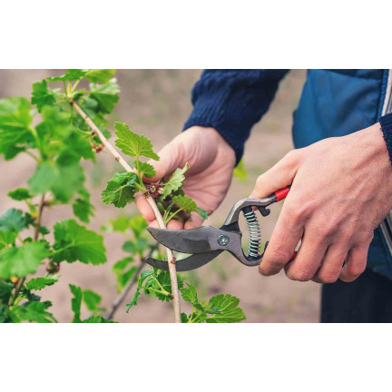 SUM28 sumin multiroots – přípravek na zakořenění, urychluje zakořenění řízků a cibulek okrasných rostlin, 100 ml