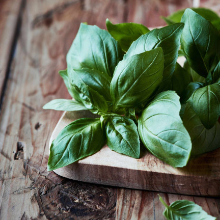 Z3001 BASALKA SPRÁVNÁ BASALKA SEMÍNKA BYLINY KOŘENÍ ZELENÉ AROMATICKÉ 1G