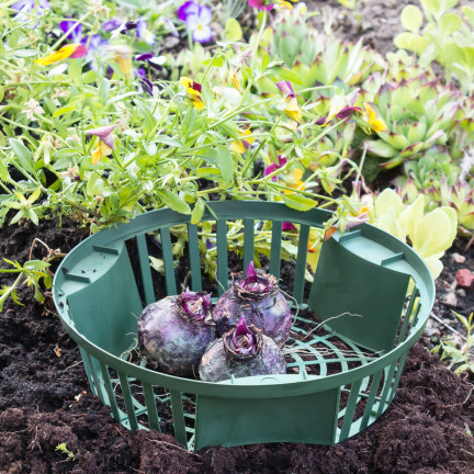 IKCS315-G851 košík, miska, obal na výsadbu cibulek květinových 31,5 cm