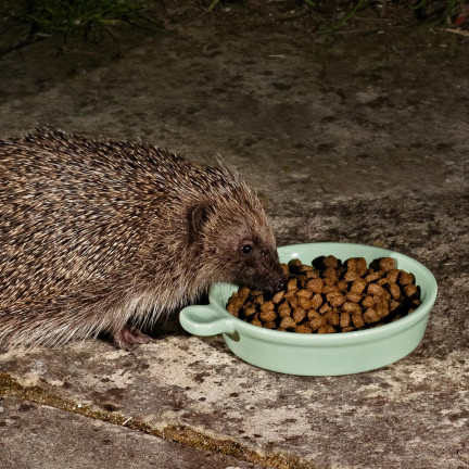 Krmivo pro volně žijící ježky, plnohodnotná krmná směs bohatá na bílkoviny, Turdus 500 g