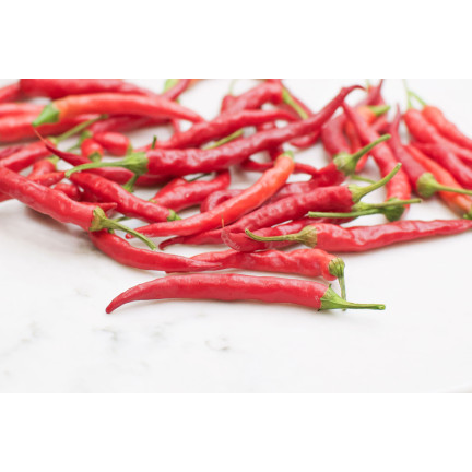 W1137 DE CAYENNE PÁLIVÁ CHILLI SEMÍNKA PÁLIVÁ 0,5G