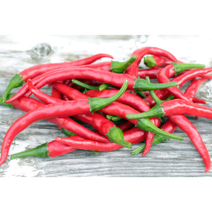 W1137 DE CAYENNE PÁLIVÁ CHILLI SEMÍNKA PÁLIVÁ 0,5G