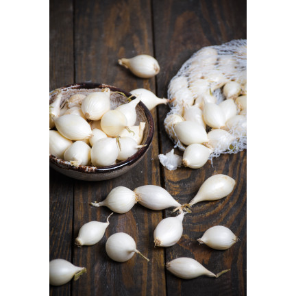Bílá cibule White Globe, velikost 5–21 mm, 250 kg