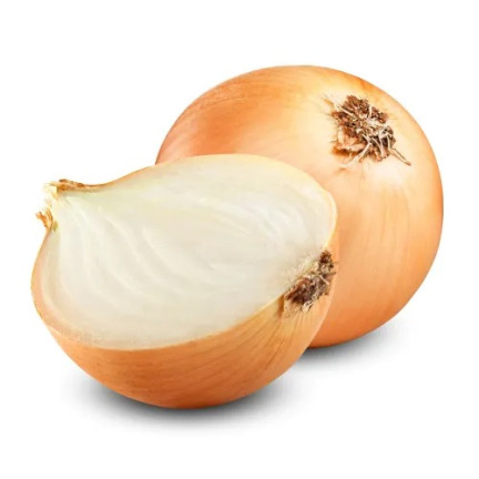 W1020 cibule Globo, cibulová semena, velmi pozdní, velké cibule, salátová, 2 g