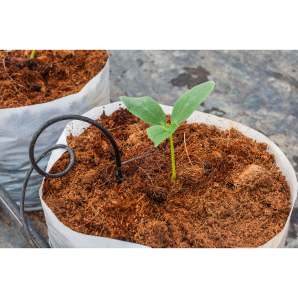 BIO16 biovita kokosová rašelina – kokosová vlákna, sypký substrát 0–10 mm, 5 l