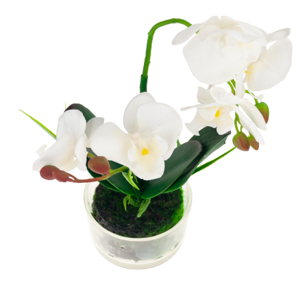 CV05030-1 orchidej v květináči, bílá, pogumovaná, dvouramenná, velká