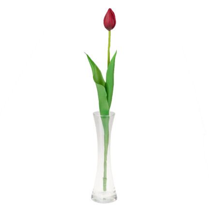 CV07588-10 jednoduchý tulipán, pogumovaný, červený, jako živý