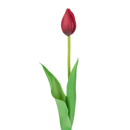 CV07588-10 jednoduchý tulipán, pogumovaný, červený, jako živý