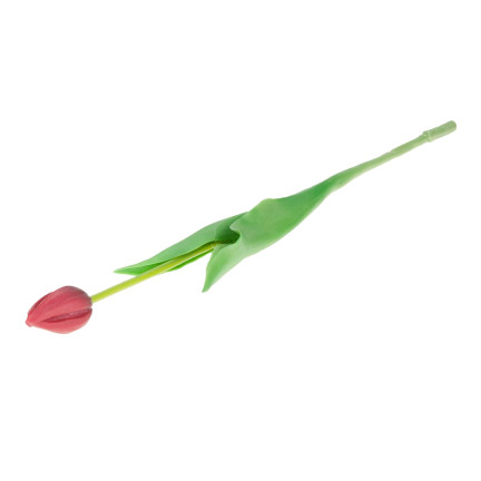 CV07588-10 jednoduchý tulipán, pogumovaný, červený, jako živý