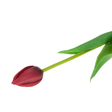 CV07588-10 jednoduchý tulipán, pogumovaný, červený, jako živý