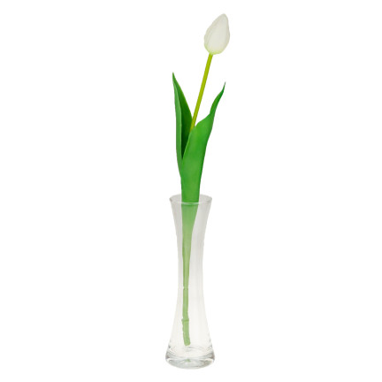 CV07588-1 jednoduchý tulipán, pogumovaný, bílý, jako živá květina