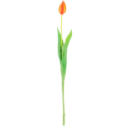 CV07588-8 gumový tulipán, jednotlivý, oranžový, jako živá květina