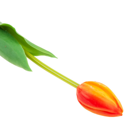 CV07588-8 gumový tulipán, jednotlivý, oranžový, jako živá květina