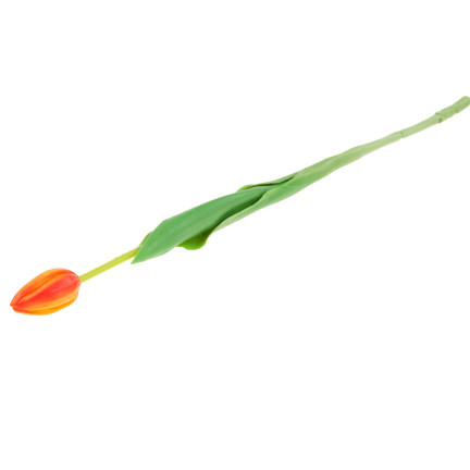 CV07588-8 gumový tulipán, jednotlivý, oranžový, jako živá květina