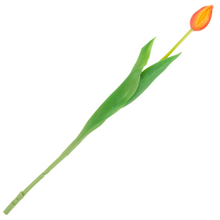 CV07588-8 gumový tulipán, jednotlivý, oranžový, jako živá květina