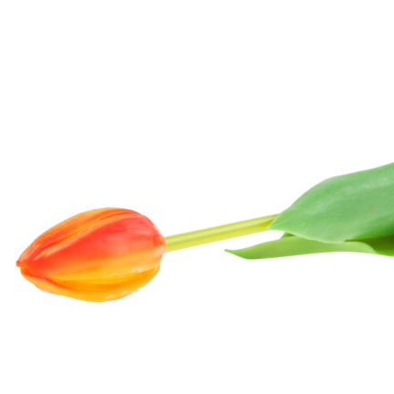 CV07588-8 gumový tulipán, jednotlivý, oranžový, jako živá květina