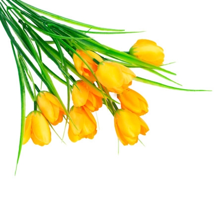 CV07855-5 tulipány, kytice tulipánů, umělé květiny, žluté tulipány v kytici, dekorace