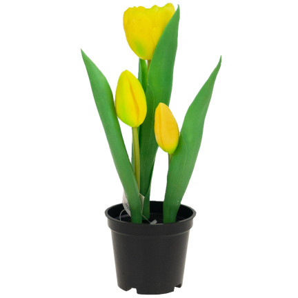 CV10553-3 tulipán tulipány pogumované květiny jako živé, prémiové