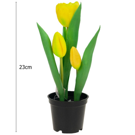 CV10553-3 tulipán tulipány pogumované květiny jako živé, prémiové