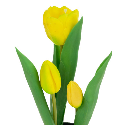 CV10553-3 tulipán tulipány pogumované květiny jako živé, prémiové