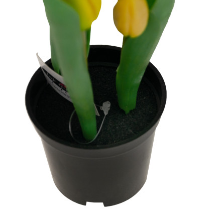 CV10553-3 tulipán tulipány pogumované květiny jako živé, prémiové