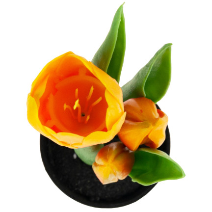 CV10553-4 tulipán, gumové tulipány, květiny jako živé, prémiové, v květináči, oranžové