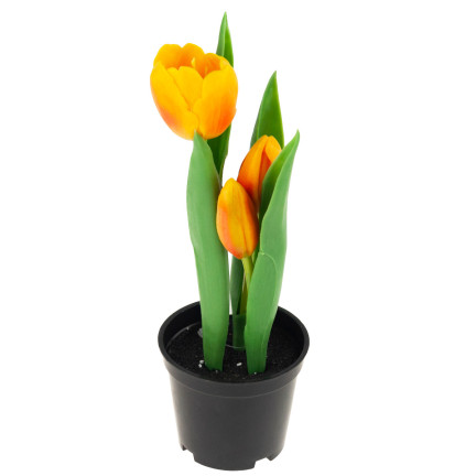 CV10553-4 tulipán, gumové tulipány, květiny jako živé, prémiové, v květináči, oranžové
